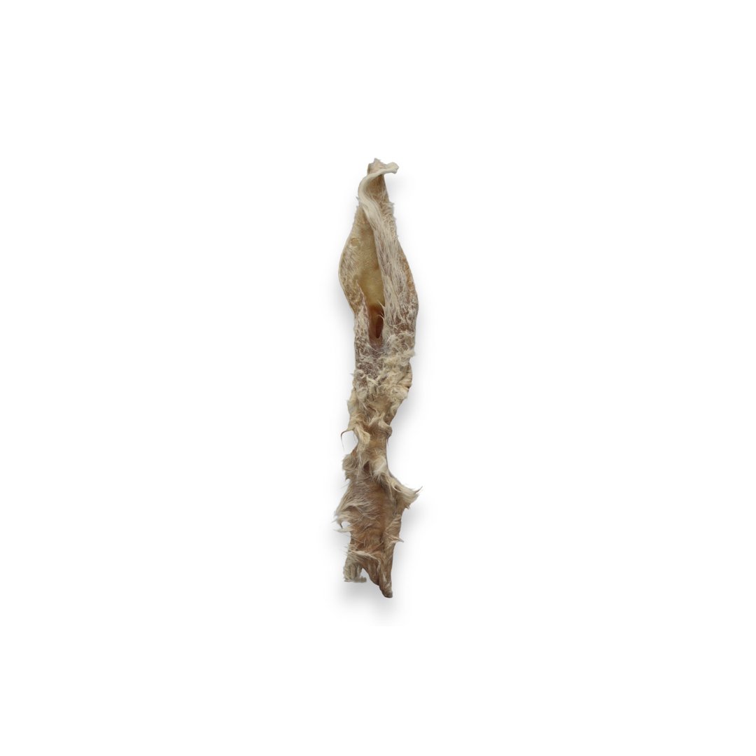 Oreille de Lapin Boutique Naturelle le Cani Domaine