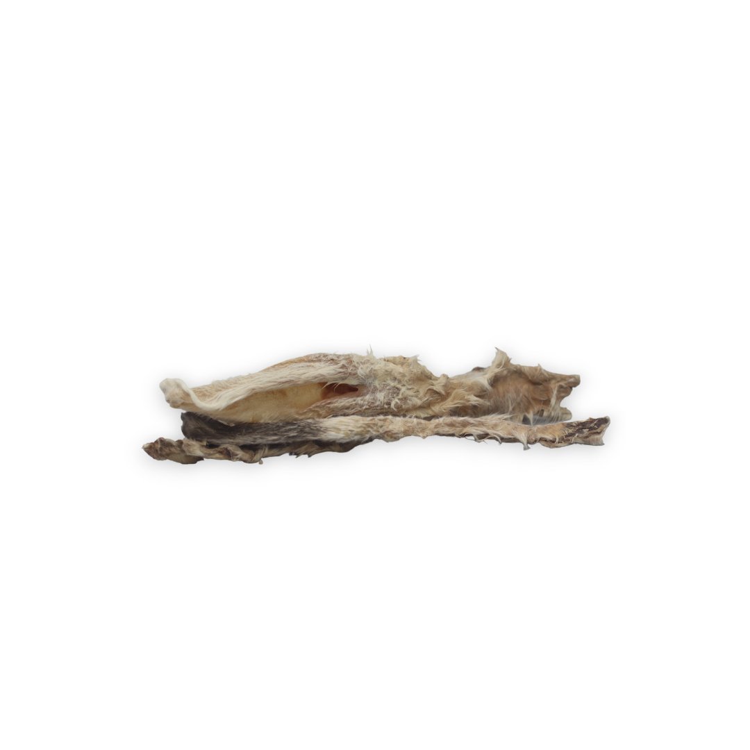 Oreille de Lapin Boutique Naturelle le Cani Domaine