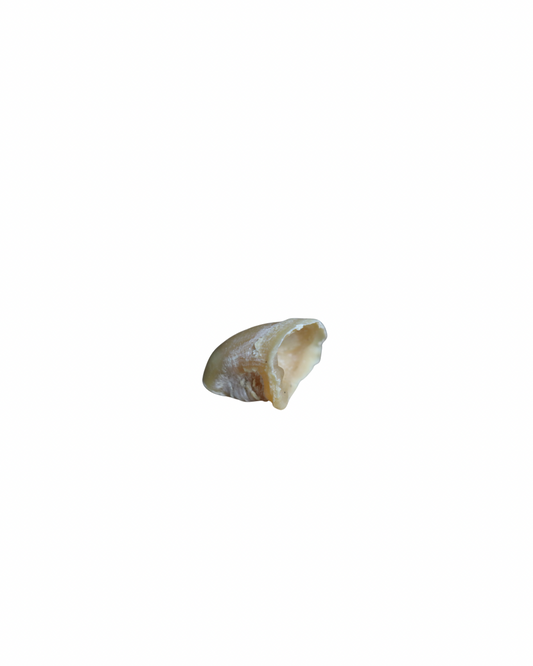 Mini sabot