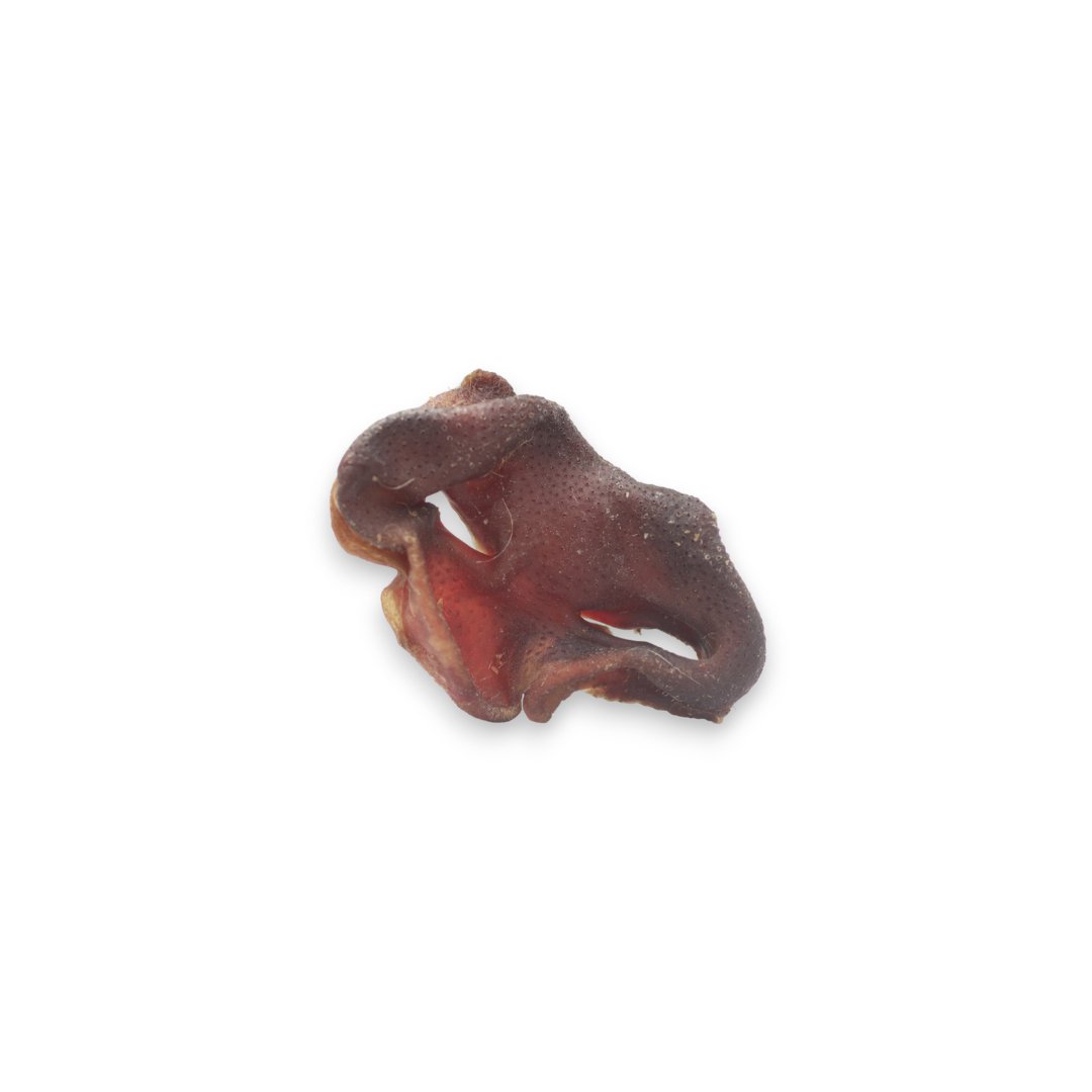 Groins de Porc Boutique Naturelle le Cani Domaine