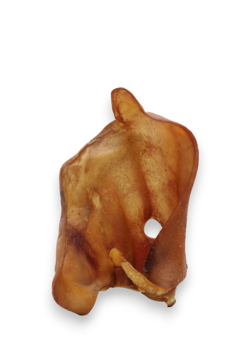 Oreille de Porc Boutique Naturelle le Cani Domaine