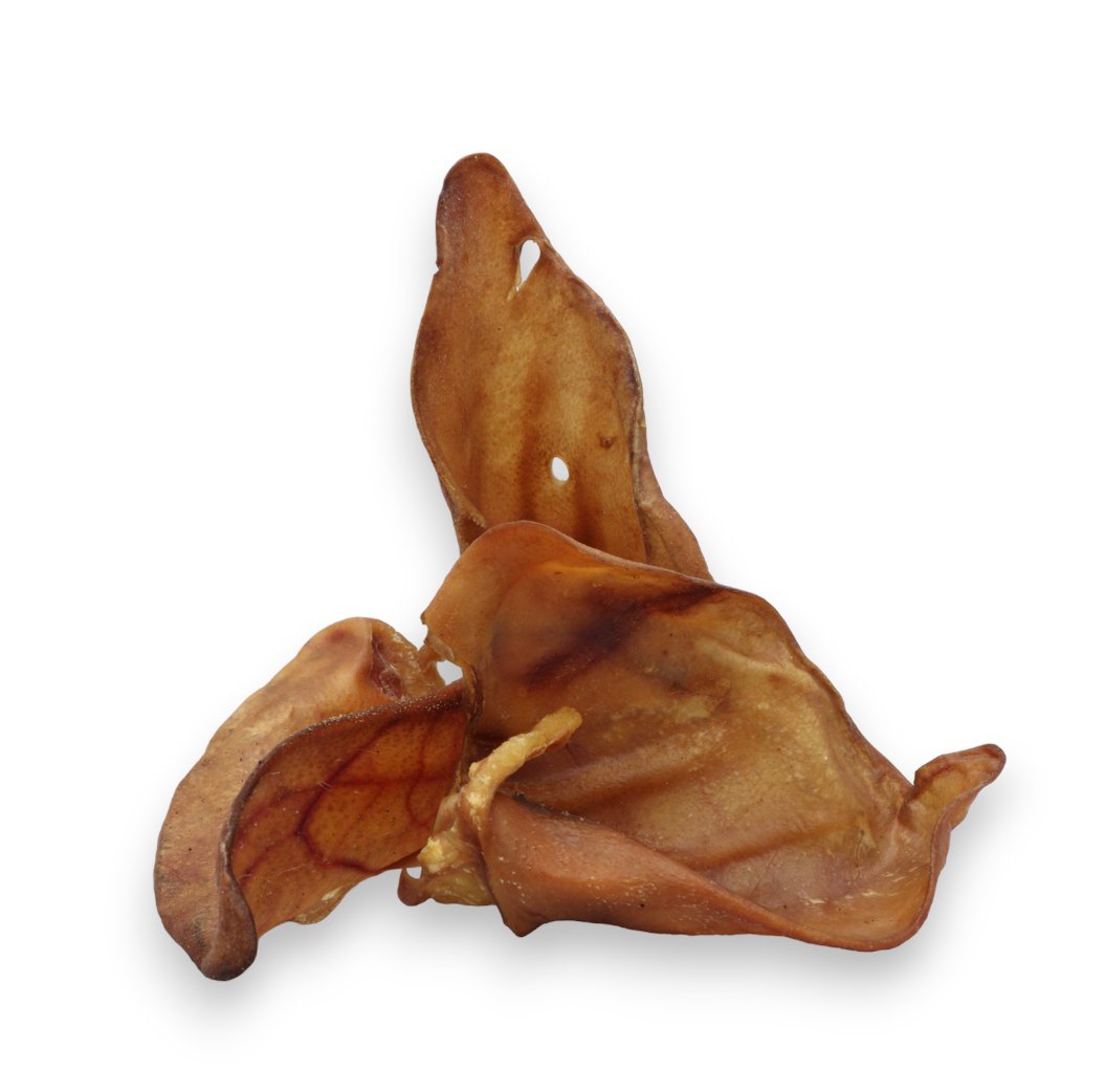 Oreille de Porc Boutique Naturelle le Cani Domaine
